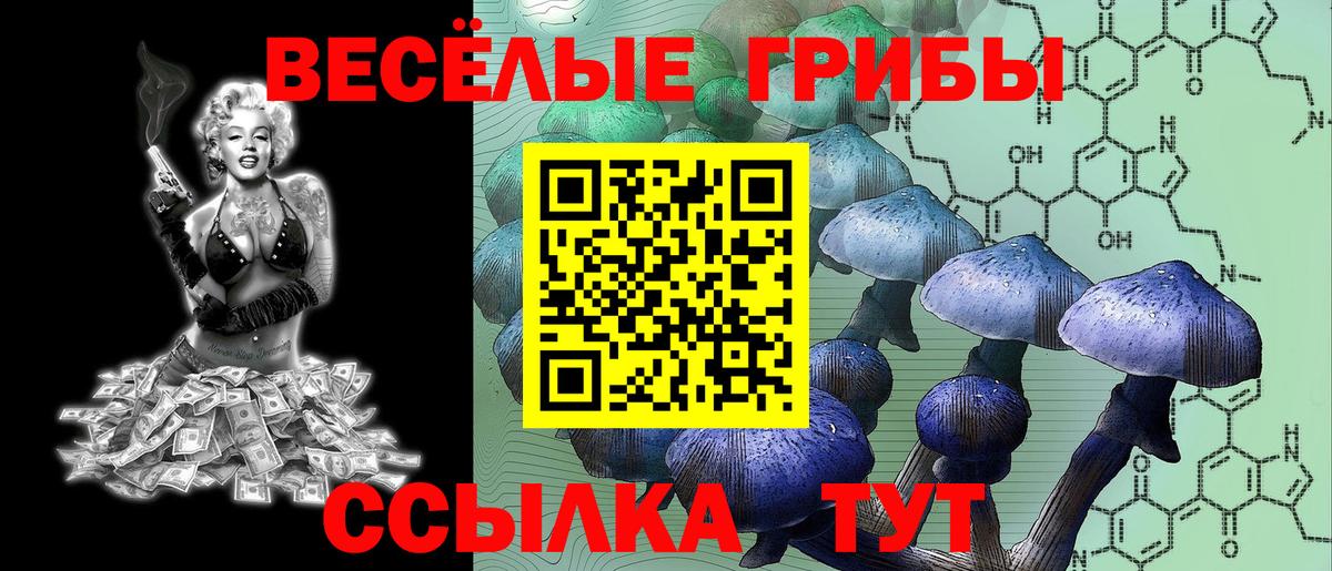 Галлюциногенные грибы Cubensis  Галлюциногенные грибы GOLDEN TEACHER  Воркута  Вход с VPN 